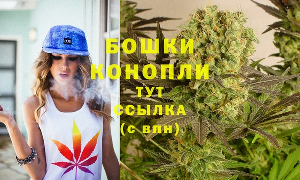 молекула духа Богородицк