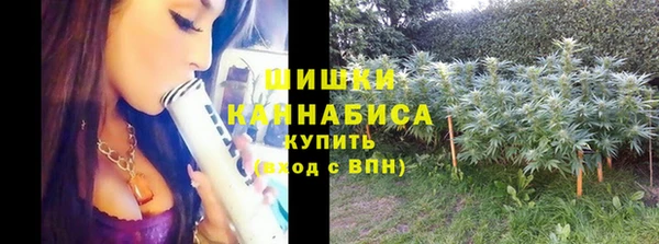 первитин Осташков