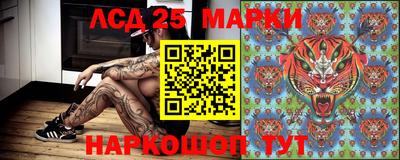 ALPHA-PVP Гатчина
